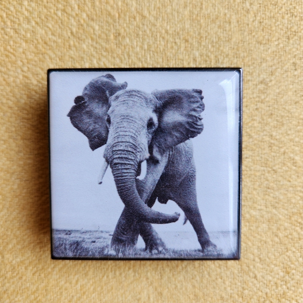Chantecaille Luminescent Eyeshadow, Elephant